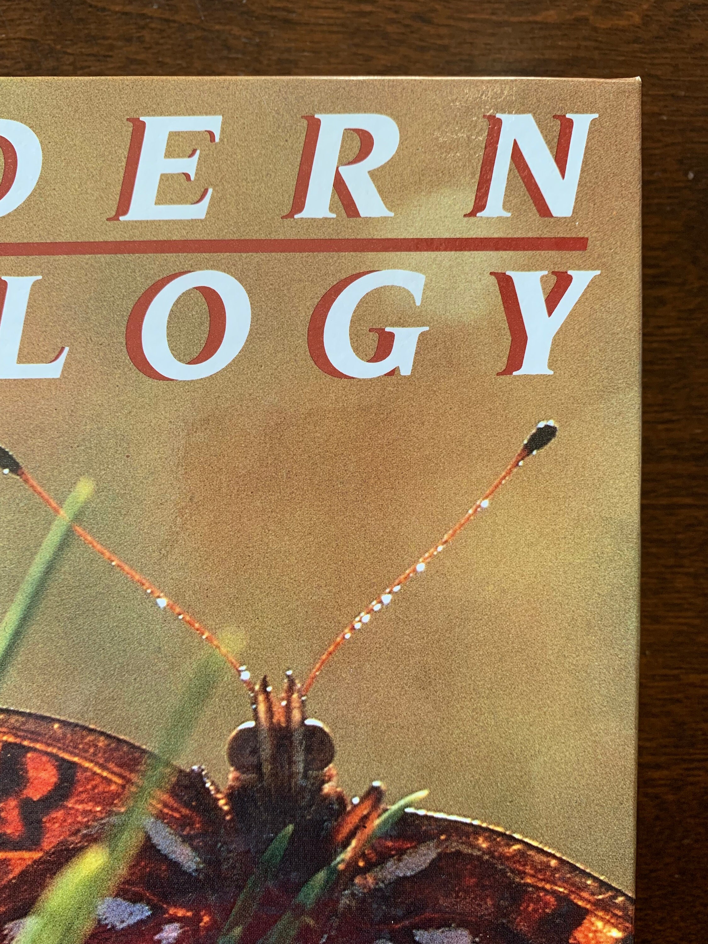 MODERN BIOLOGY TextBook by James H. Otto & Albert Towle 1985