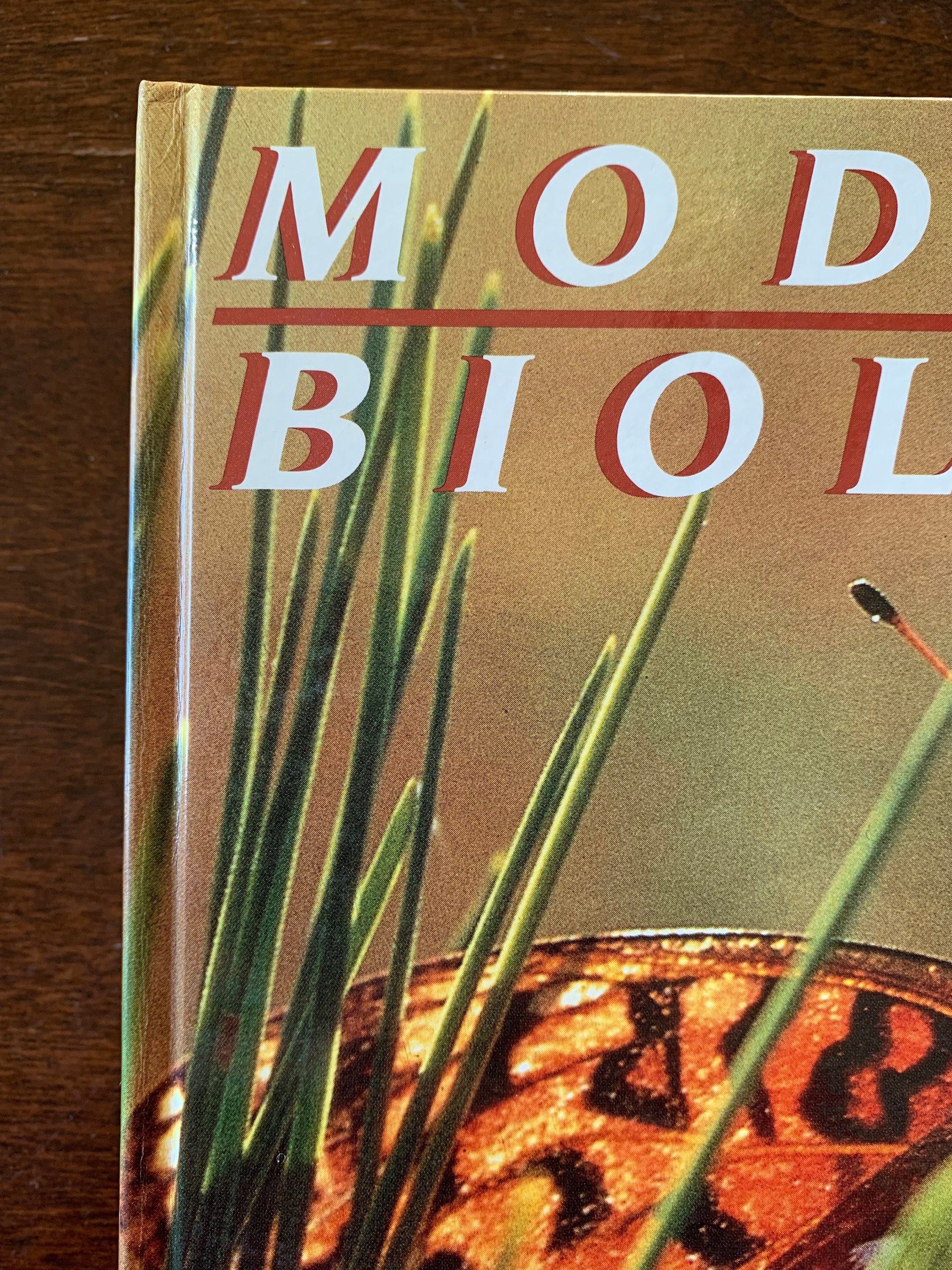 MODERN BIOLOGY TextBook by James H. Otto & Albert Towle 1985