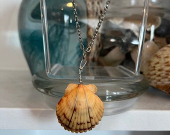 Scallop Shell wired necklace