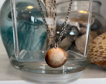 Scallop shell necklace