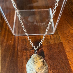 Silver shell necklace