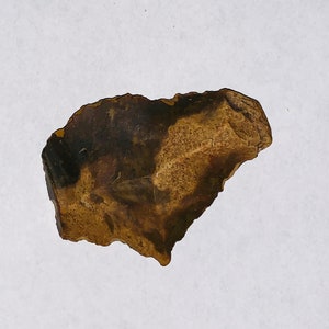 Paleolithic Flint Tool Anamorphic Artifact Beaver Profile Face