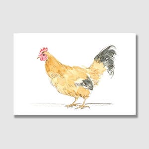 Postkarte Hühner / Postkarte mit Briefumschlag / Kinder Geburtstagskarte / Grußkarte / Geschenkkarte / Kunstdruck / Ostern Karte