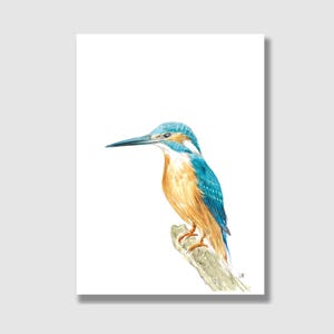 Postkarte Eisvogel / Postkarte mit Briefumschlag / Kinder Geburtstagskarte / Grußkarte / Geschenkkarte / Kunstdruck