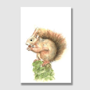 Postkarte Eichhörnchen / Postkarte mit Briefumschlag  / Grußkarte / Geschenkkarte / Kinder Geburtstagskarte/ Kunstdruck
