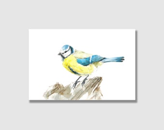 Postkarte Vögel  | Blaumeise | Grußkarte frühling | Postkarte mit Briefumschlag | Grußkarte | Geschenkkarte | Kunstdruck