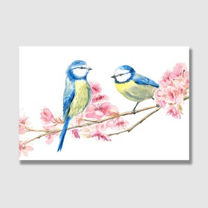 Postkarte Vögel  | Blaumeise | Grußkarte frühling | Postkarte mit Briefumschlag | Grußkarte | Geschenkkarte | Kunstdruck