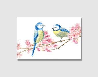 Postkarte Vögel  | Blaumeise | Grußkarte frühling | Postkarte mit Briefumschlag | Grußkarte | Geschenkkarte | Kunstdruck