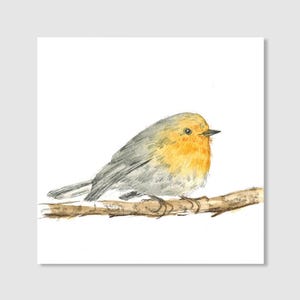 Robin | Watercolor painting | Miniature watercolor | Original hand-painted | Wall decoration | 10 x 10 cm | Gift | Nature lover
