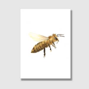 Postal Abeja / Postal con sobre / Tarjeta de cumpleaños infantil / Tarjeta de felicitación / Tarjeta de regalo / Impresión artística
