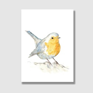 Carte postale Robin / Carte postale avec enveloppe / Carte d'anniversaire pour enfant / Carte de vœux / Carte cadeau / Impression d'art
