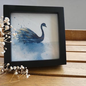 Swan | Watercolor painting | Miniature watercolor | Original hand-painted | Wall decoration | 10 x 10 cm | Gift | Nature lover