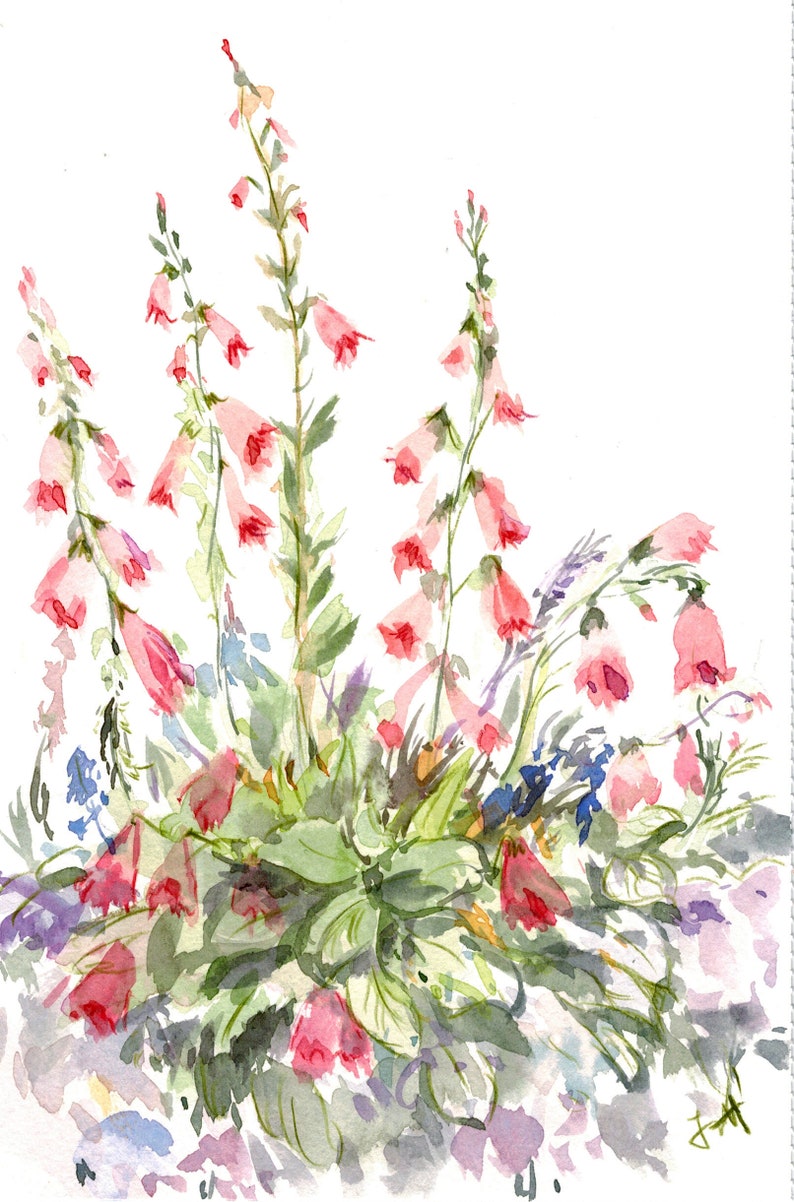 Blumenwiese / Aquarellbild / Original handgemalt / 14x21cm / Geschenkidee/ Einweihungsgeschenk / Geschenk für Sie / Wanddeko / Wohndeko Bild 2