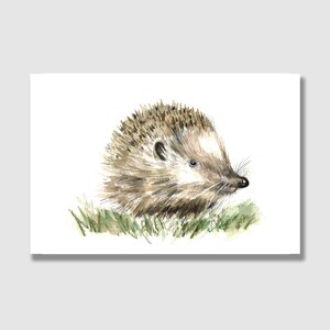 Postal erizo / postal / tarjeta de felicitación / tarjeta de regalo / tarjeta de cumpleaños para niños / impresión de arte