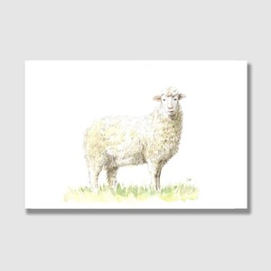 Cartolina Agnello / Cartolina con busta / Biglietto di compleanno per bambini / Biglietto di auguri / Carta regalo / Stampa artistica / Biglietto di Pasqua