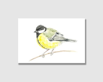 Postkarte Vögel  | Kohlmeise | Gartenvögel | Grußkarte frühling | Postkarte mit Briefumschlag | Grußkarte | Geschenkkarte | Kunstdruck