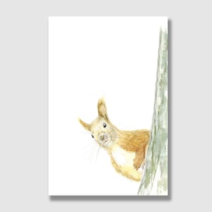 Postcard squirrel / postcard with envelope / greeting card / gift card / children's birthday card / art print