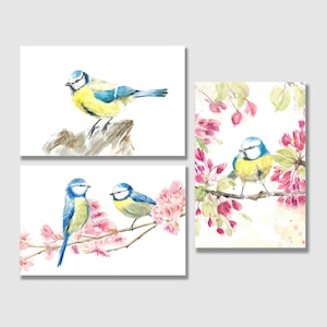 Postkarten-Set | Blaumeise | Grußkarte frühling | Postkarte| Grußkarte | Geschenkkarte | Kunstdruck