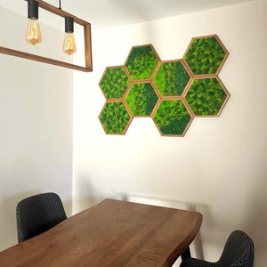 Honeycomb Moss Wall Art: Handmade Wooden Hexagon, Forever Plants (30cm)