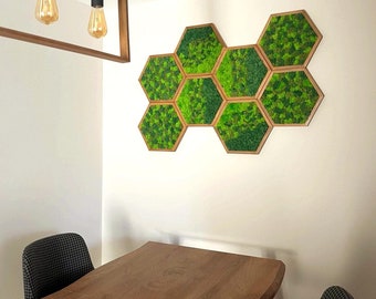 Honeycomb Moss Wall Art: Handmade Wooden Hexagon, Forever Plants (30cm)