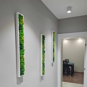 Moss Wall Art | Solid Wooden Panels  | Art Wall Decor | Moss Art | Preserved Flowers wall hanging | Home Decor | Real Moss Decor |