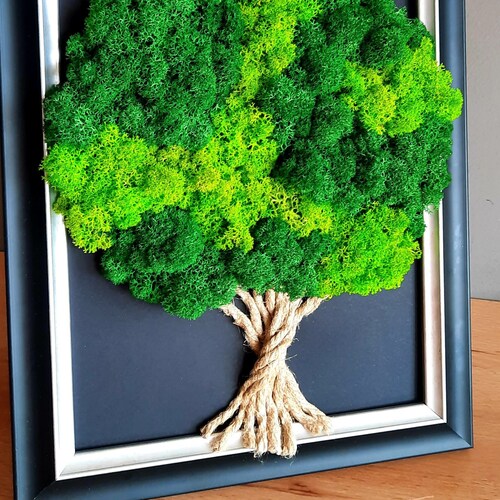 Living Picture for Wall and Desk Moss Tree of Life Green Etsy