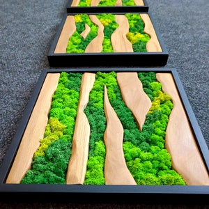 Solid Wood Moss Wall Art Decor | Moss Wall Panel | Wooden panels | Preserved Moss | Moss Wall Hanging | Live Moss Wall Art