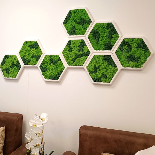 Hexagon Honeycomb Moss Wall Art Decor | 30cm Diameter | Forever plants | Preserved Flowers | wall hanging | New home owner gift | Zen garden