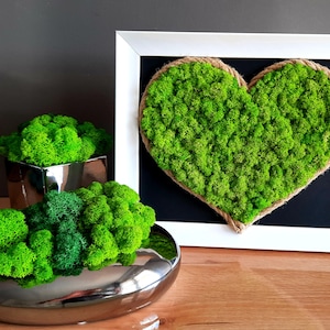 Moss Art,  heart,  Green wall art, Real moss decor, Preserved Flowers wall hanging