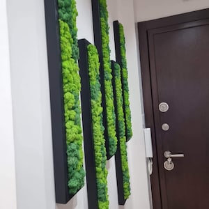 Wooden panels  | Moss Wall Panels | Art Wall Decor | living Moss Wall | Preserved Moss wall hanging | Reindeer moss | Moss Decor | 60х10cm