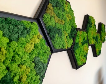 Honeycomb Moss Wall Art: Handmade Wood Hexagon, Preserved Plants (30cm)