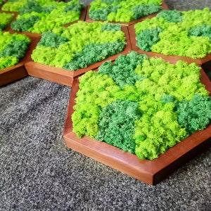Honeycomb Moss Wall Art: Handmade Wooden Hexagon Decor (30cm)