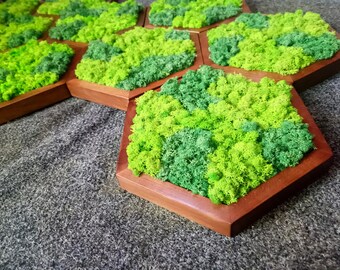 Honeycomb Moss Wall Art: Handmade Wooden Hexagon Decor (30cm)