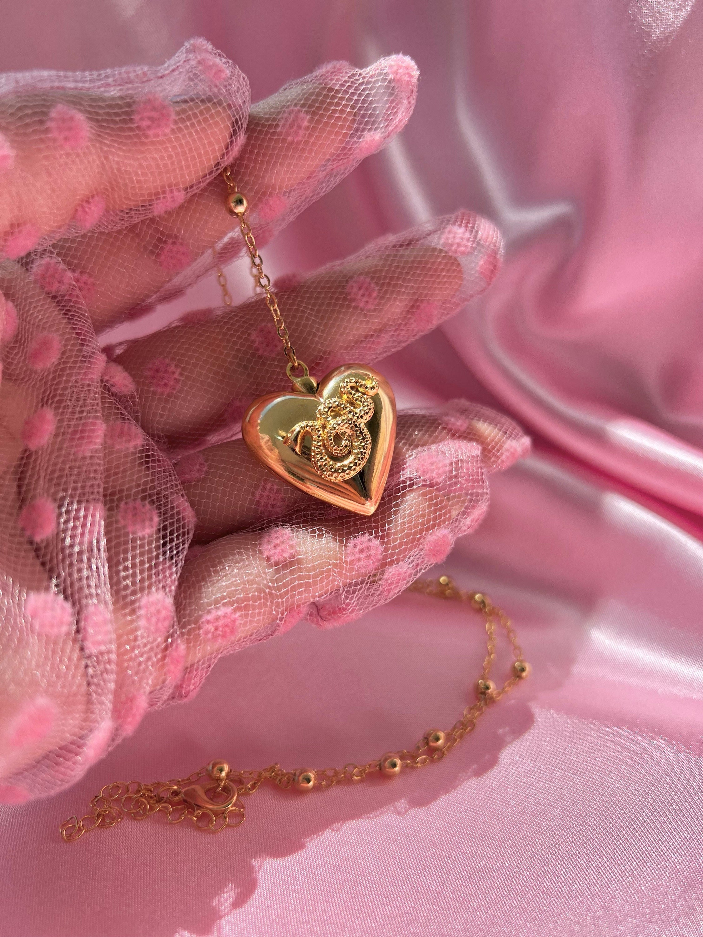  Holy rose Saint Lana Del Rey LDR Style Stash Necklace Heart  Shaped With Snakes & Spoon stainless steel (gold) : Clothing, Shoes &  Jewelry