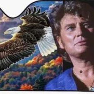 Pare-soleil de voiture Johnny Hallyday personnalisable