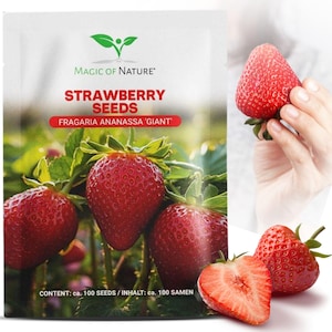 Reuze aardbeizaden 100 stuks - 's Werelds grootste aardbei | Familietuin | Gezonde voeding | Winterharde meerjarige aardbeizaden