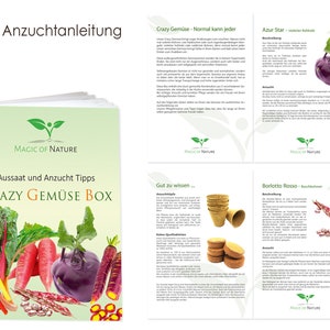 Crazy Gemüse Box Samen Anzuchtset 5 Irre Gemüse Sorten zum Selberzüchten oder zum Verschenken Geschenkidee Weihnachten I Geschenkbox Bild 5