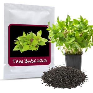 Op de afbeelding: Een wit zaadzakje met een zwarte rechthoekige afbeelding met groene Thaise basilicumblaadjes en de tekst THAI BASILIKUM, vergezeld van een zwarte plastic pot met een groene Thaise basilicumplant en een hoopje kleine zwarte zaadjes.