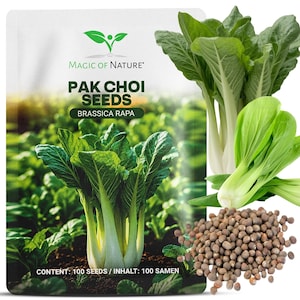 Puede incluir: Un paquete de semillas blanco etiquetado como Magic of Nature Pak Choi Seeds Brassica Rapa con una imagen de plantas de pak choi verdes en un jardín. El paquete muestra el texto Inhalt: 100 Samen. Junto al paquete hay pak choi fresco y semillas marrones.