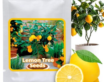 Semillas de mini limonero (10 unidades/paquete) - Aptas para bonsái - Un adorno llamativo para el salón, el comedor o la oficina