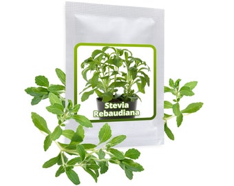 STEVIA SAMEN ca. 100 Stück/Pack - Süßkraut - Honigkraut - Kräutersamen - der Zuckerersatz aus dem Garten - Süßungsmittel zum Abnehmen