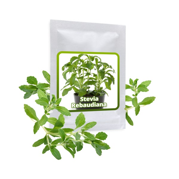 STEVIA SAMEN ca. 100 Stück/Pack - Süßkraut - Honigkraut - Kräutersamen - der Zuckerersatz aus dem Garten - Süßungsmittel zum Abnehmen