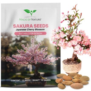 Japanse kersenboomzaden (Sakura) - 10 zaden - Prunus serrulata zaden voor bonsai en tuin - Duurzaam cadeau-idee voor plantenliefhebbers