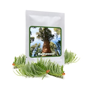 Könnte beinhalten: Ein weißer Beutel mit einem Bild eines Redwood-Baums und dem Wort "Redwood" darauf. Zwei grüne Kiefernnadeln liegen vor dem Beutel.