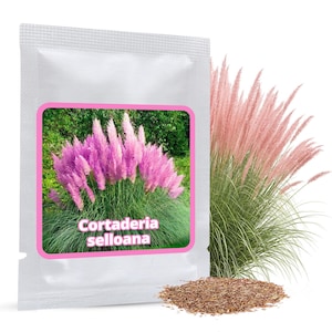 Pode incluir: Um pacote de sementes branco com uma imagem bordada a rosa de Cortaderia selloana rosa. Ao lado do pacote encontra-se um grupo de plumas de erva-das-pampas rosa com folhagem verde, e um pequeno monte de sementes castanhas no primeiro plano.