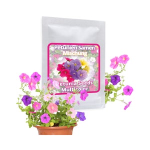Semi di petunia circa 250 pezzi - mix multifiore di fiori di petunia per balconi e giardini