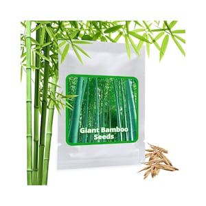 Op de afbeelding: Een witte hersluitbare zak met een groen label waarop "Giant Bamboo Seeds" staat. Het label toont een afbeelding van een bamboebos. Er zijn ook wat losse bamboezaden in de afbeelding te zien.