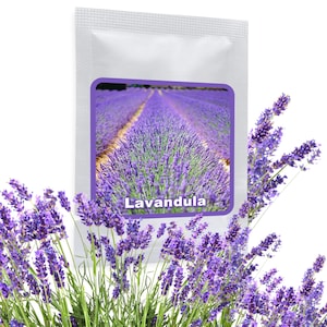 Echter Lavendel ca.150 Samen - Lavandula angustifolia - mehrjährig/winterhart - sehr beliebte Gartenpflanze mit aromatischen Duft