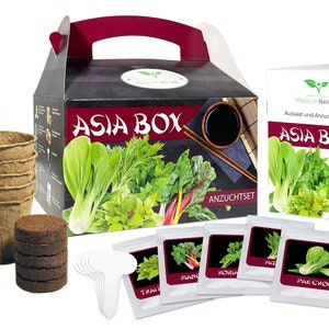 Asia Box Anzuchtset - 5 Kräuter und Gemüse Samen für die Asiatische Küche - Zum Selberzüchten oder zum Verschenken - TOP Geschenkidee