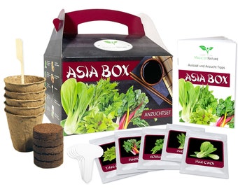 Asia Box Growing Kit - 5 Herbs and Vegetable Seeds for Asian Cuisine - For Growing Yourself or as a Gift - TOP Gift Idea